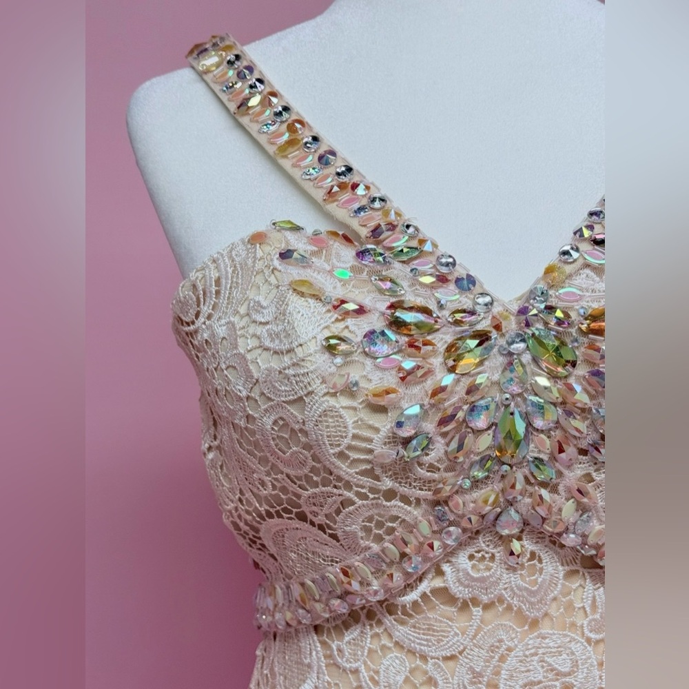 Stunning Lace Evening Gown - Picture 16 of 16